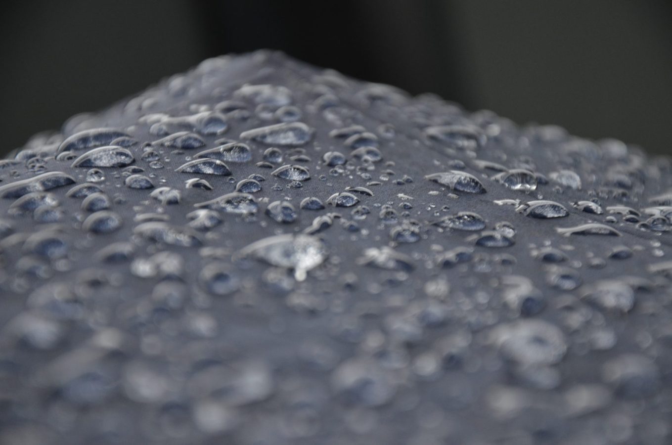 drip drip